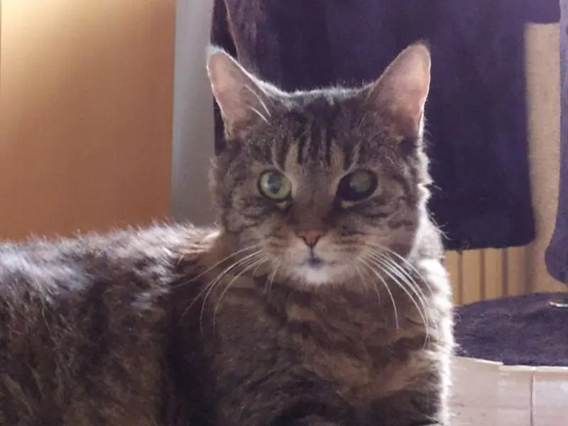 Andachtsbild von Rudolf+Mau