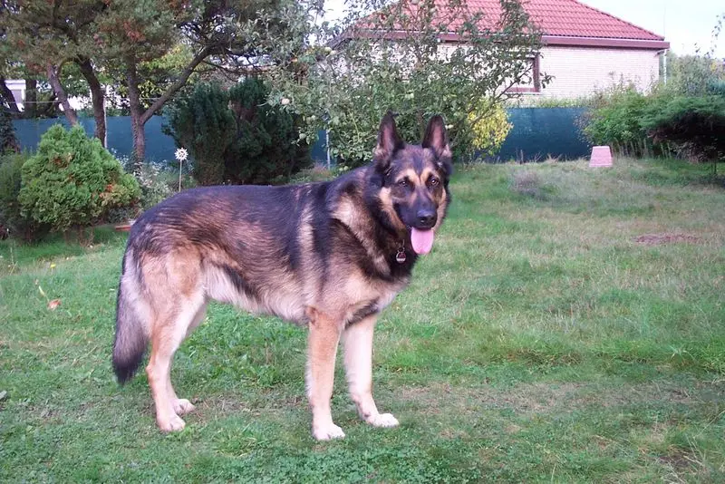 Condolence image of Josef