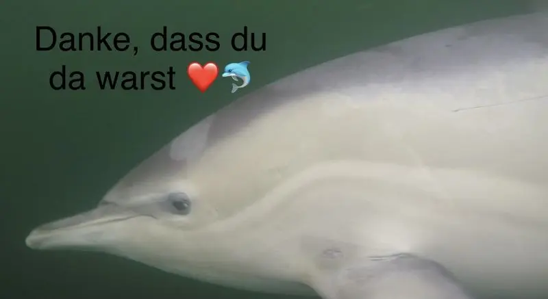Condolence image of Kerstin und Michaela 