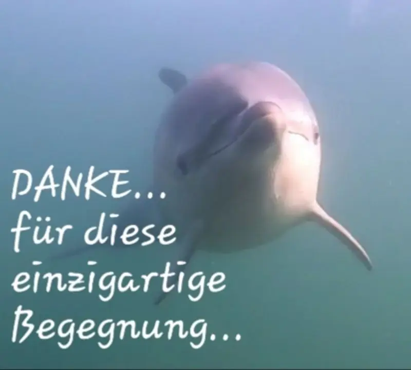 Condolence image of Ilka und Sönke