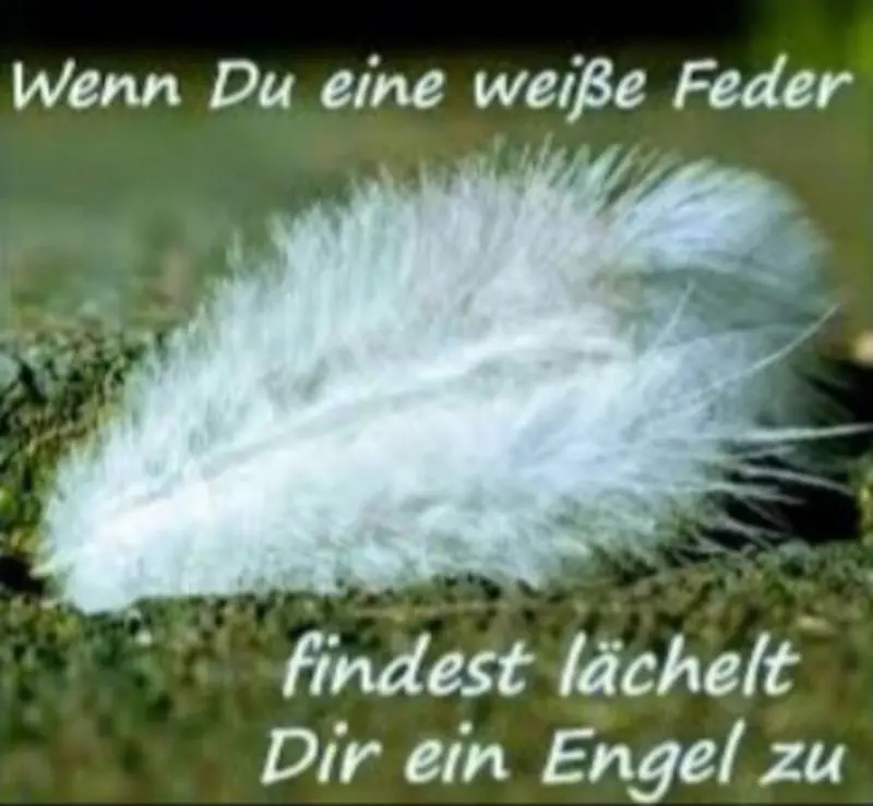 Condolence image of Bärbel und ⭐Emmi