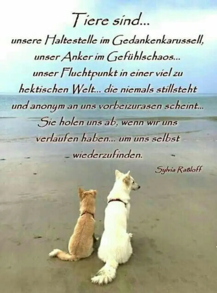 Condolence image of Jeannette mit Sisi und Lissy im ❤️