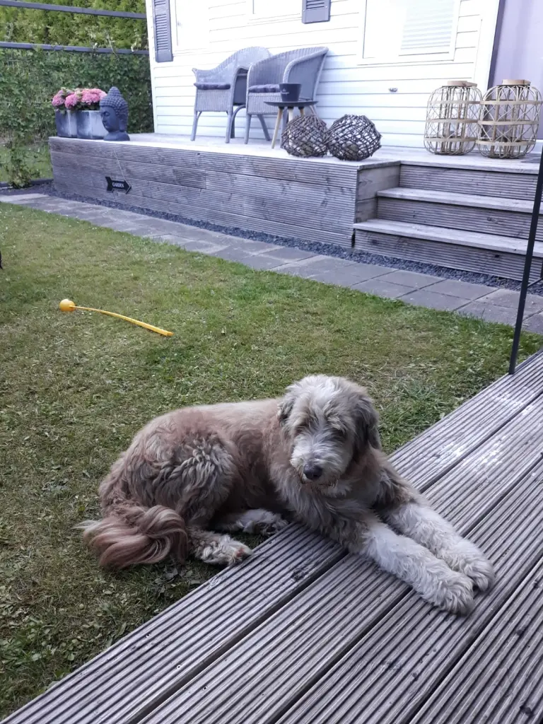 Image from Marlou