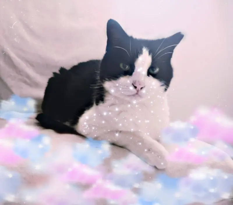 Condolence image of Unbekannt