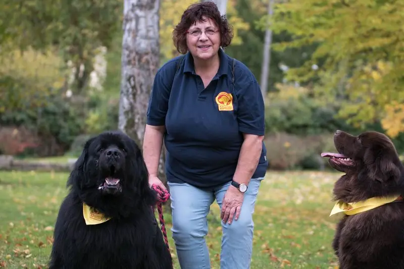 Image from Ares, genannt Ari