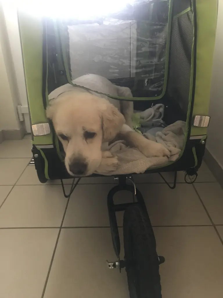 Image from Oscar