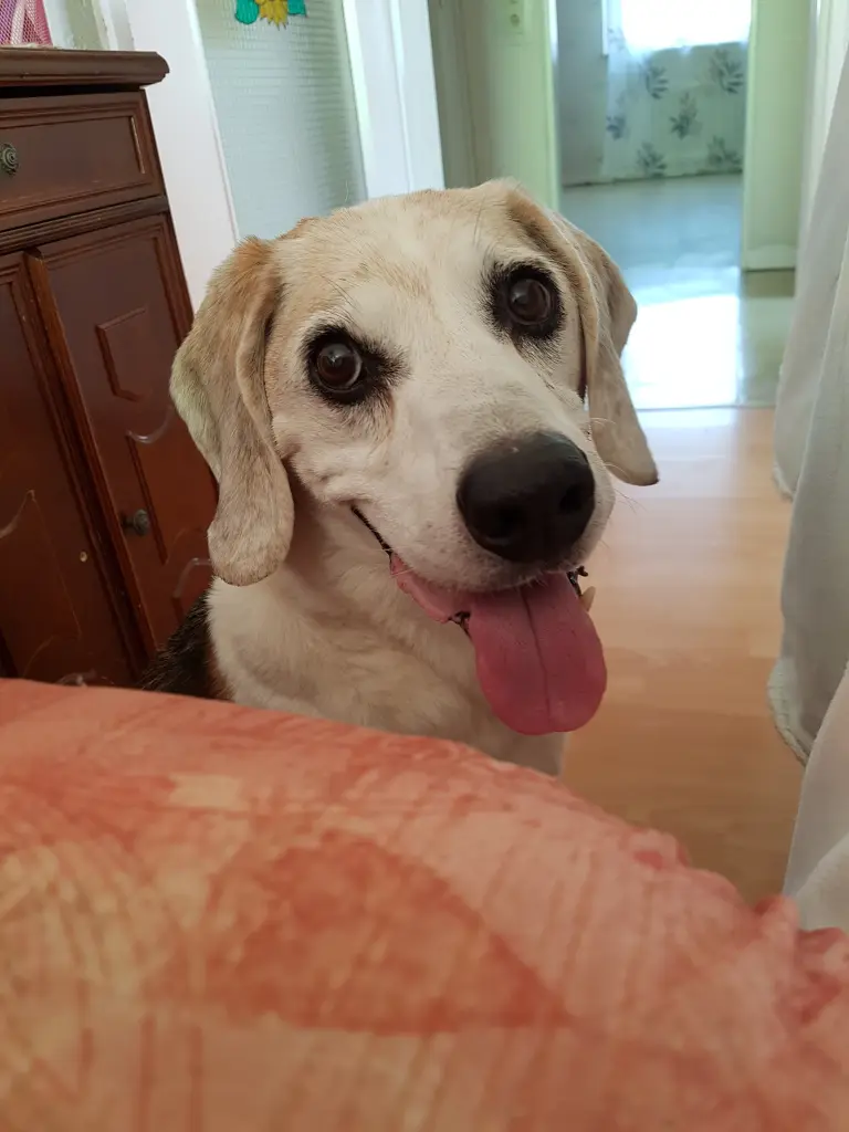 Image from Rusty