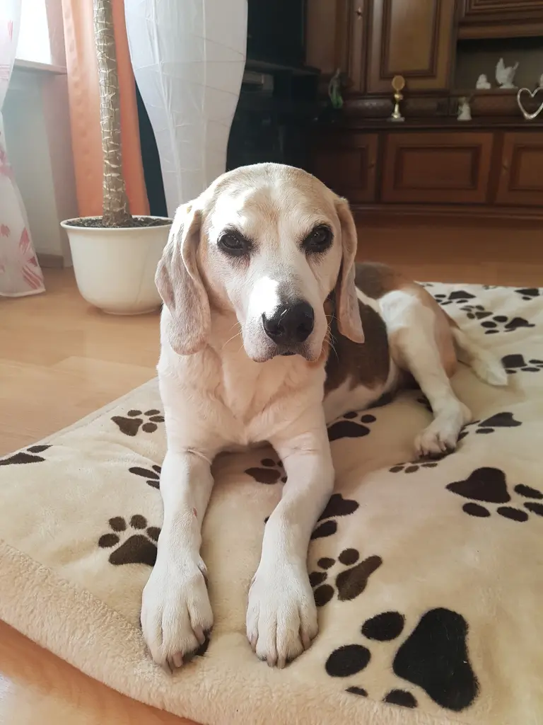 Image from Rusty