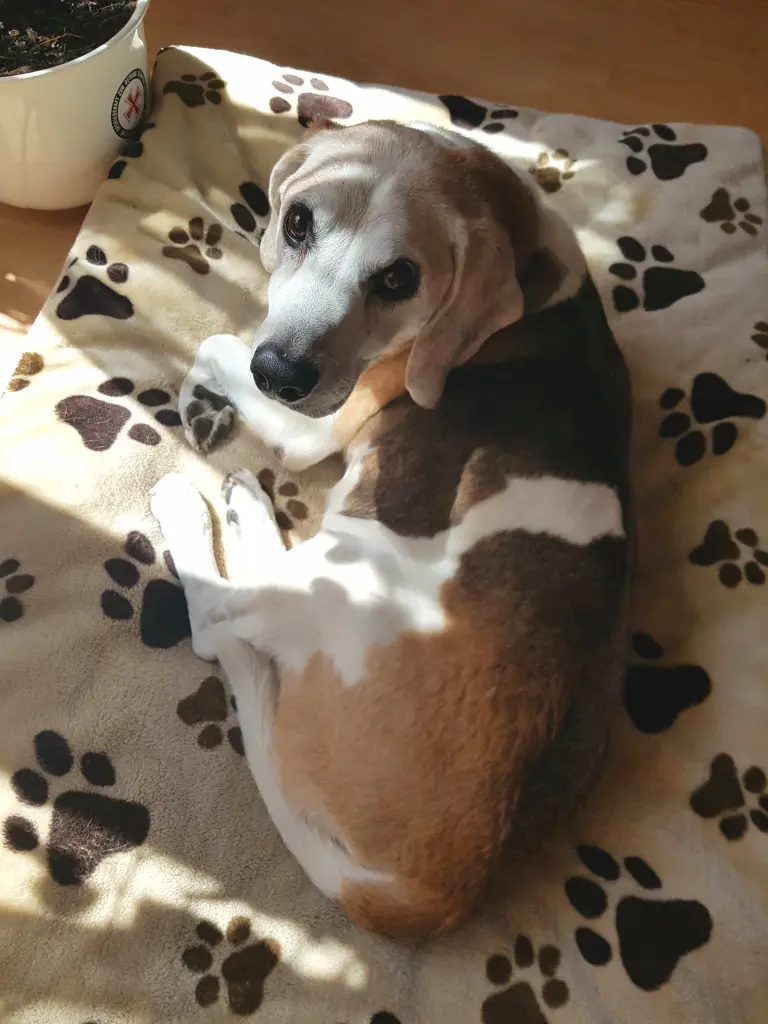 Image from Rusty