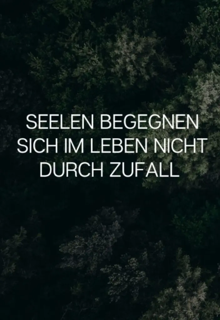 Condolence image of Gabi mit Max (gest. 20.11.2020)