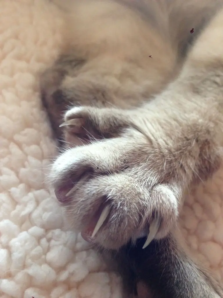 Condolence image of Birgit