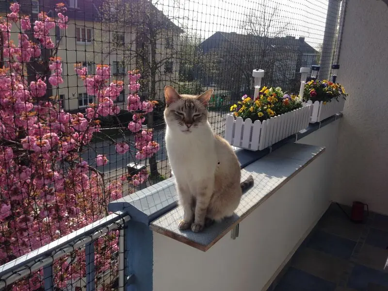 Condolence image of Birgit