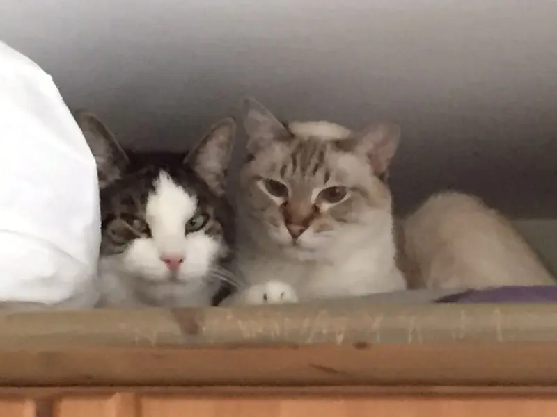 Condolence image of Birgit