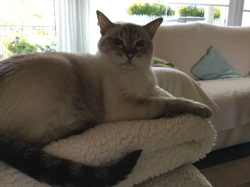 Condolence image of Birgit