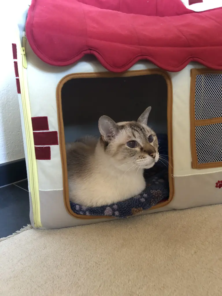 Condolence image of Birgit