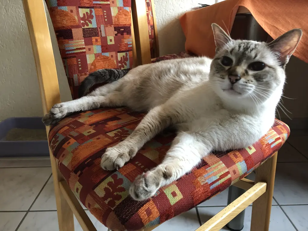 Condolence image of Birgit