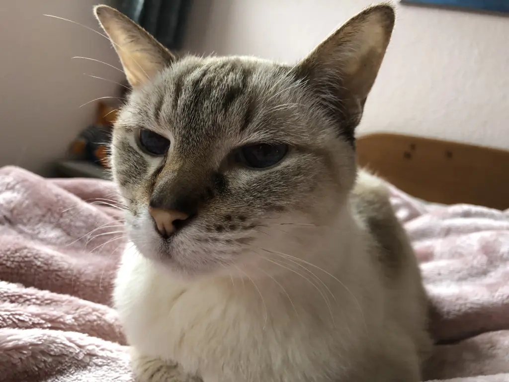 Condolence image of Birgit