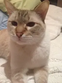 Condolence image of ❤️❤️❤️