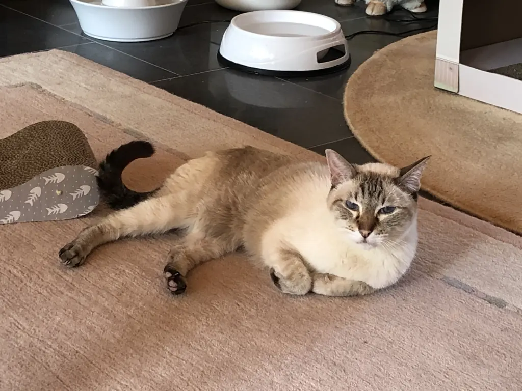 Condolence image of Birgit