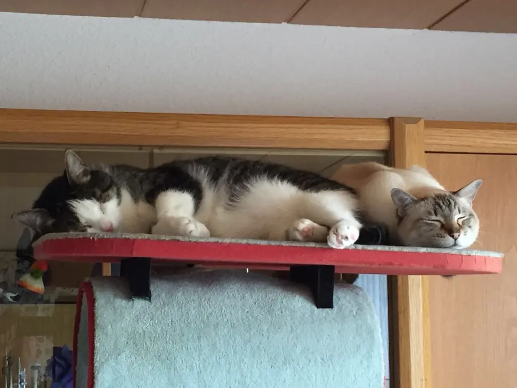 Condolence image of Birgit