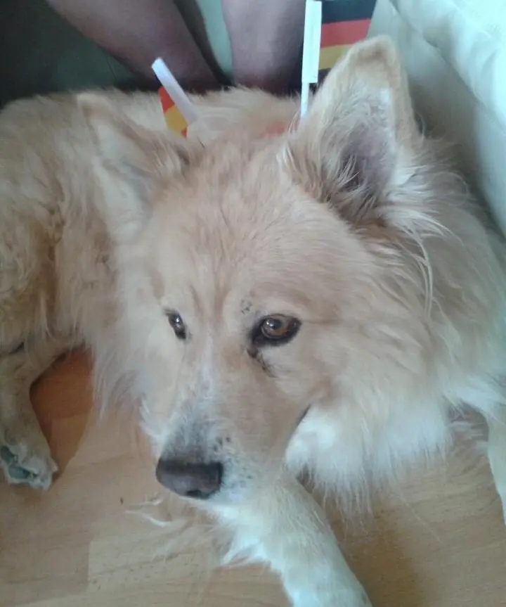 Condolence image of Andrea