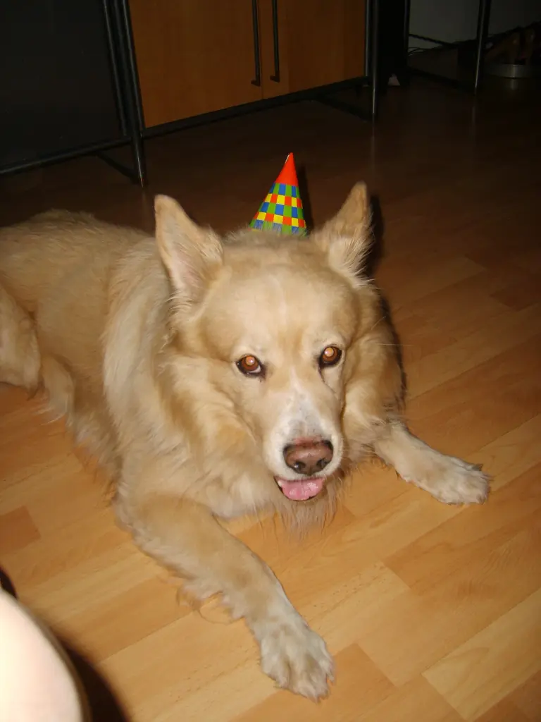 Condolence image of Oliver