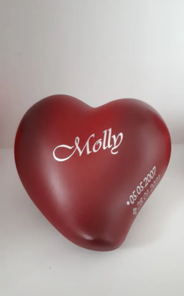 Image from Molly