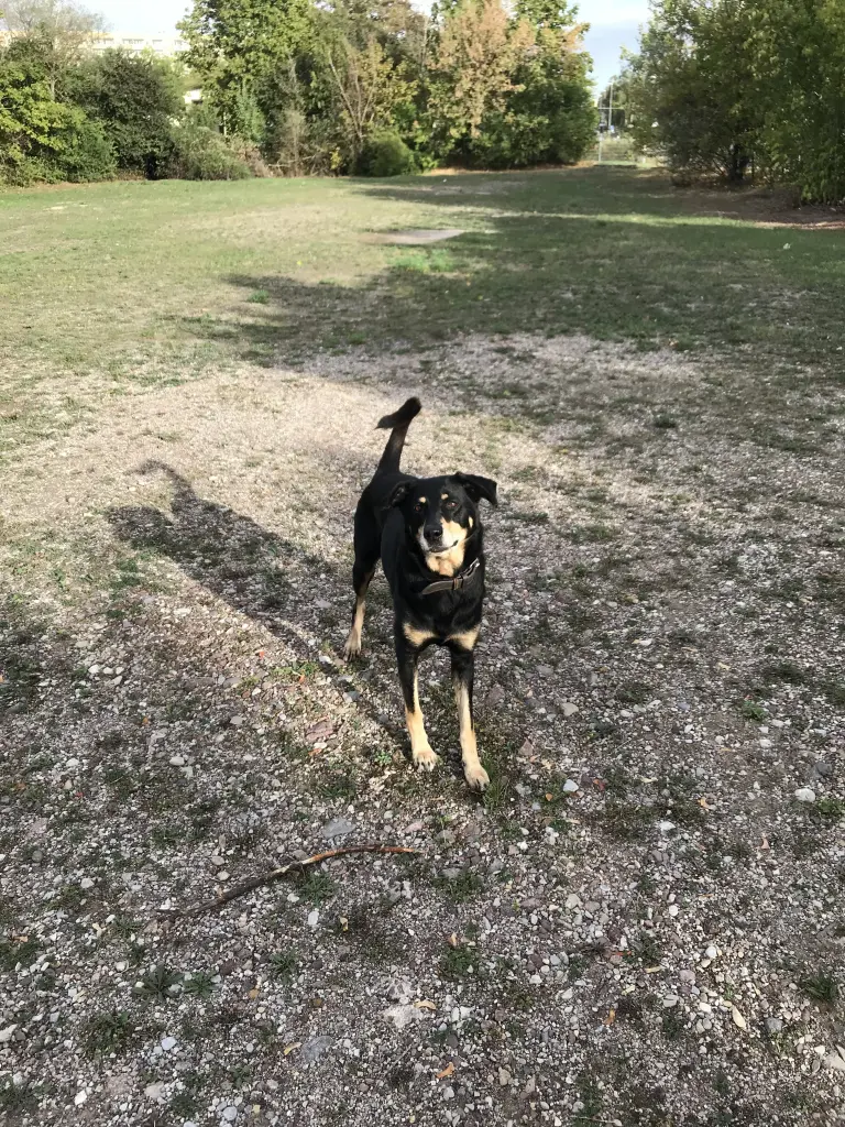 Image from Teddy