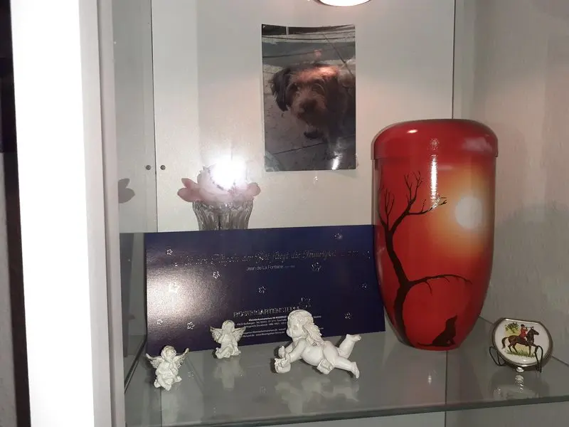 Condolence image of Renate mit Gina 25.11.20 Verst.
