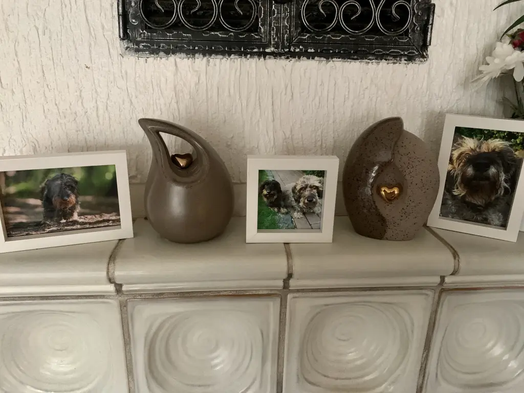 Image from Casey
