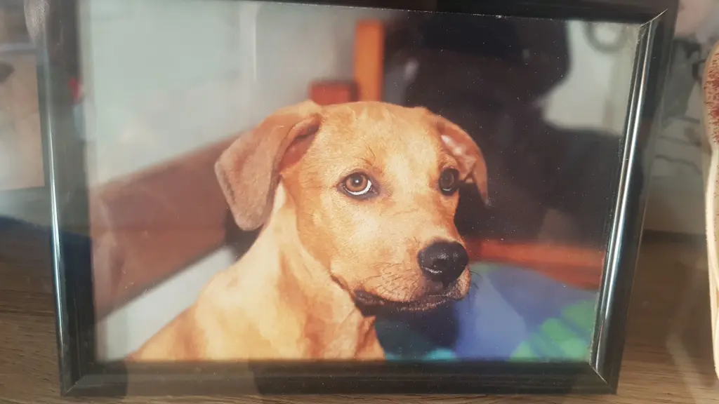 Image from Tijama