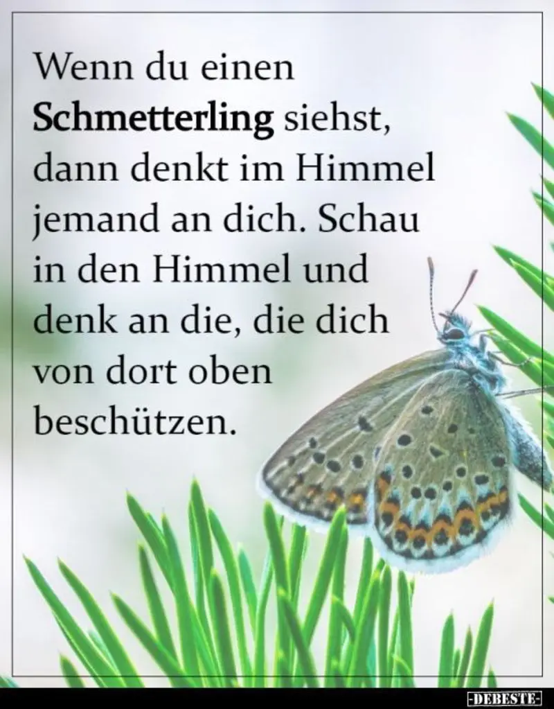 Condolence image of Jeannette mit Sisi und Lissy im ❤️