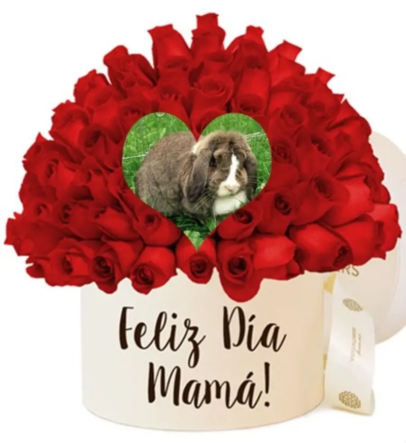 Condolence image of ❤️Mama❤️