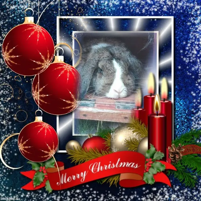 Condolence image of Patricia mit Bunny