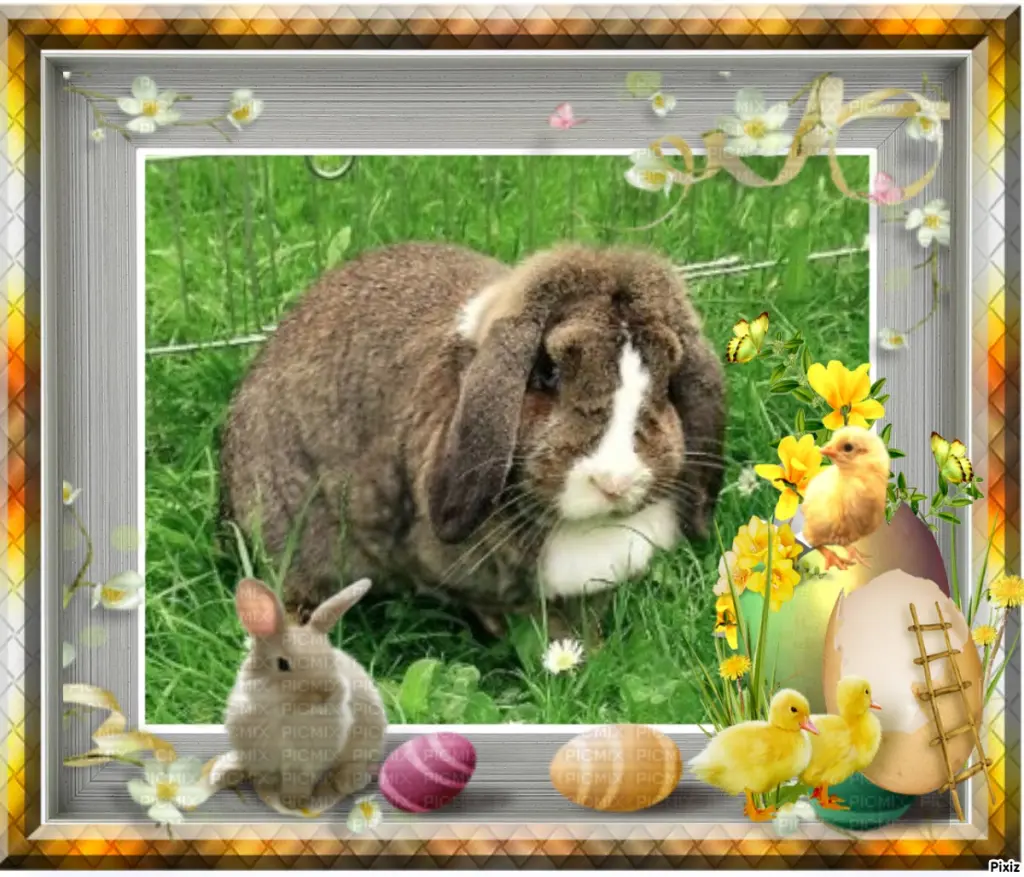 Condolence image of Patricia mit Bunny ❤