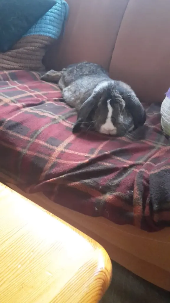 Condolence image of Für meine Princess❤️