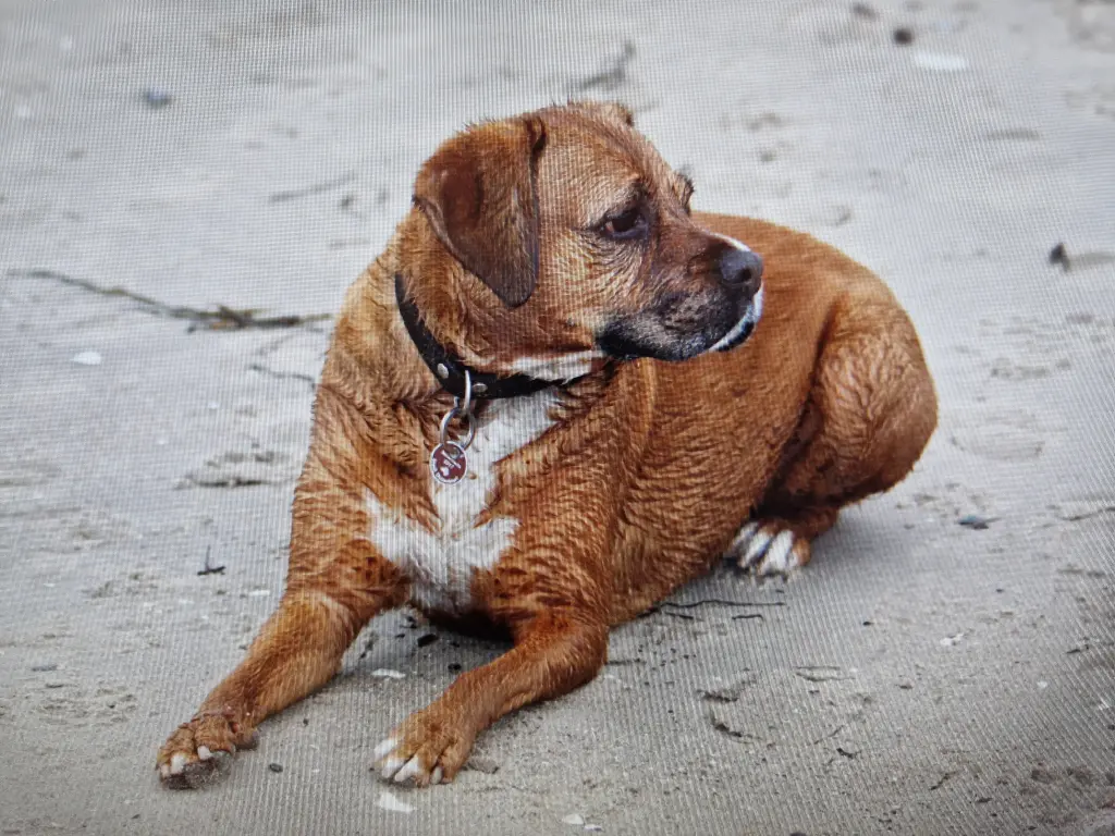 Condolence image of Deine Mama