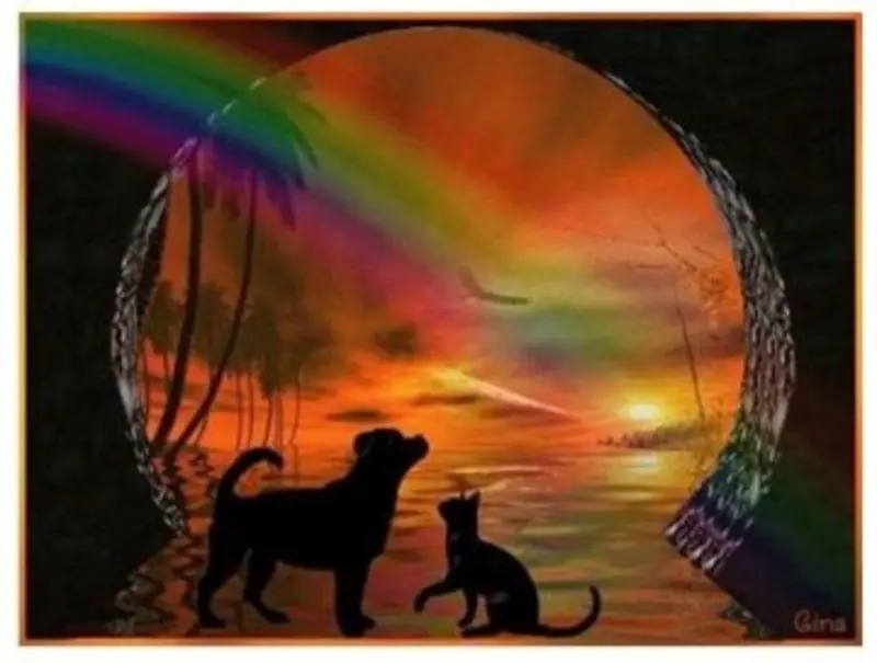 Condolence image of Katrin und Katzi im ❤️