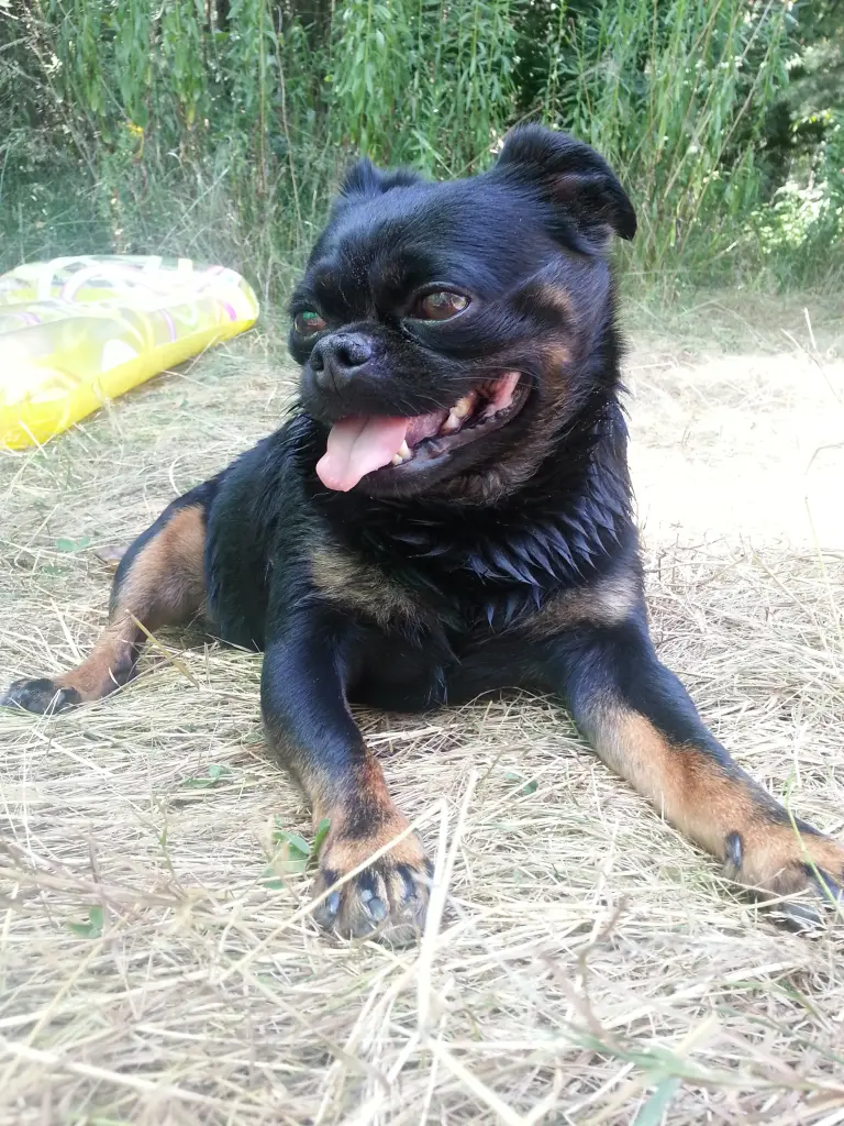 Image from Chico