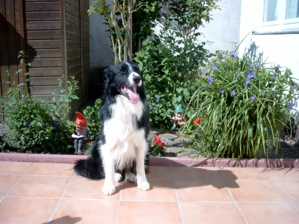 Image from Arko