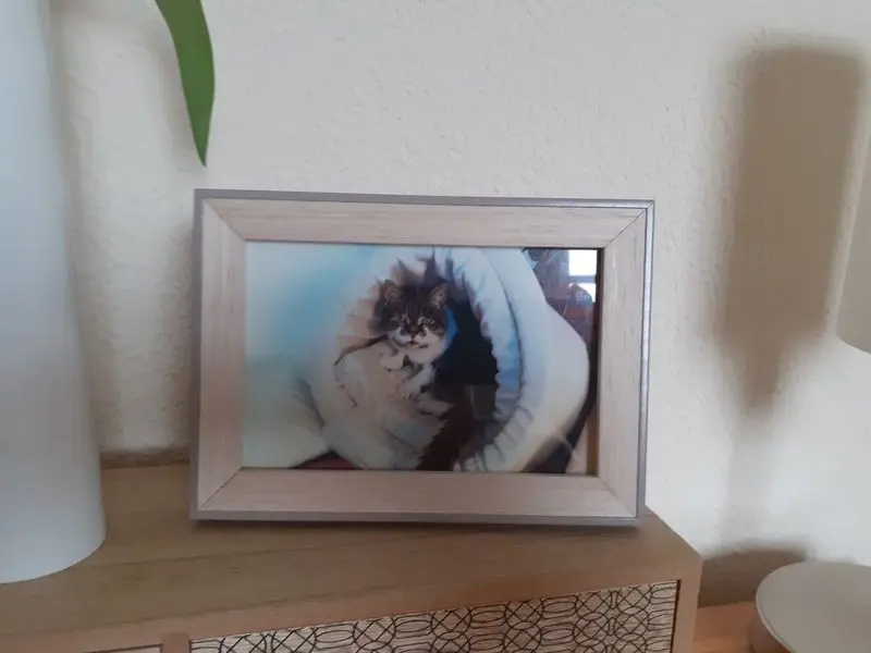 Condolence image of Andrea mit Minki im ❤ gest.19.10.2020