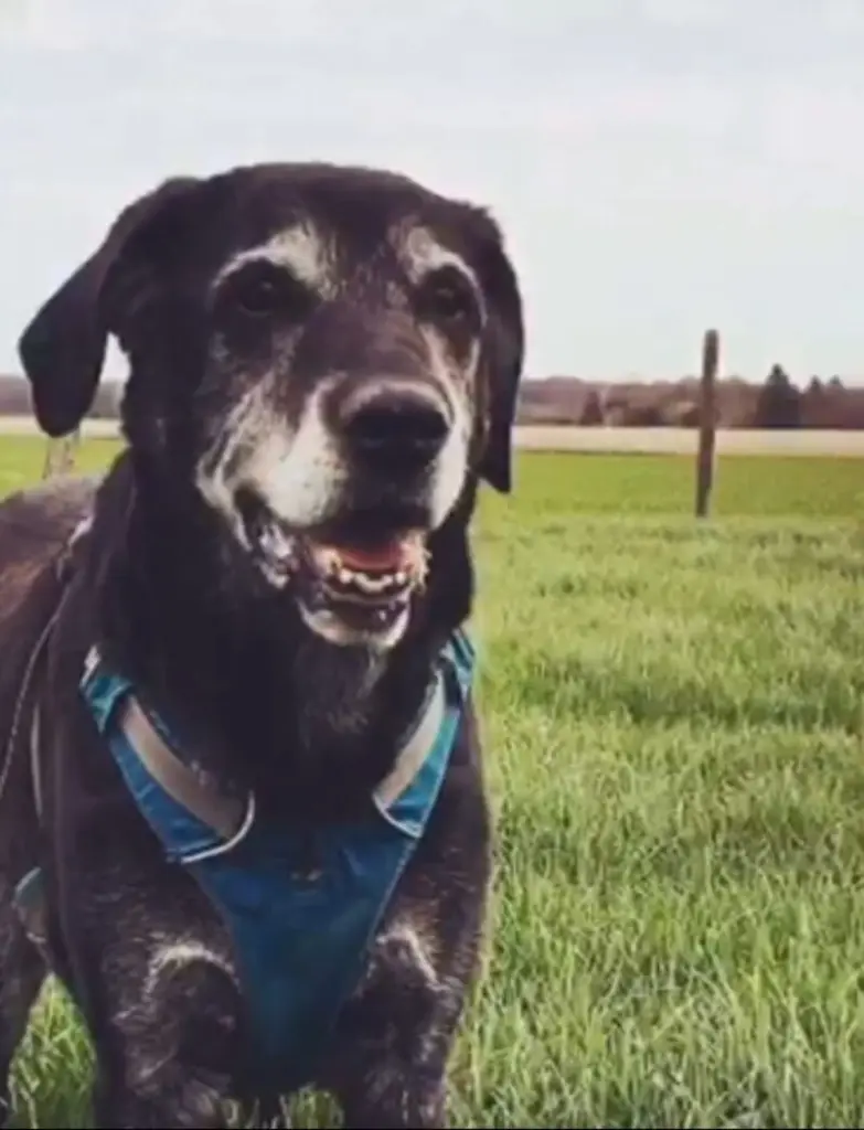 Condolence image of Omi
