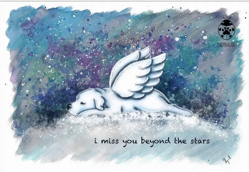 Condolence image of Nancy