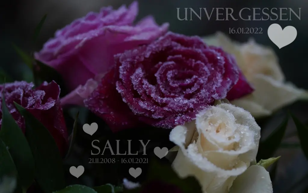 Condolence image of Unbekannt