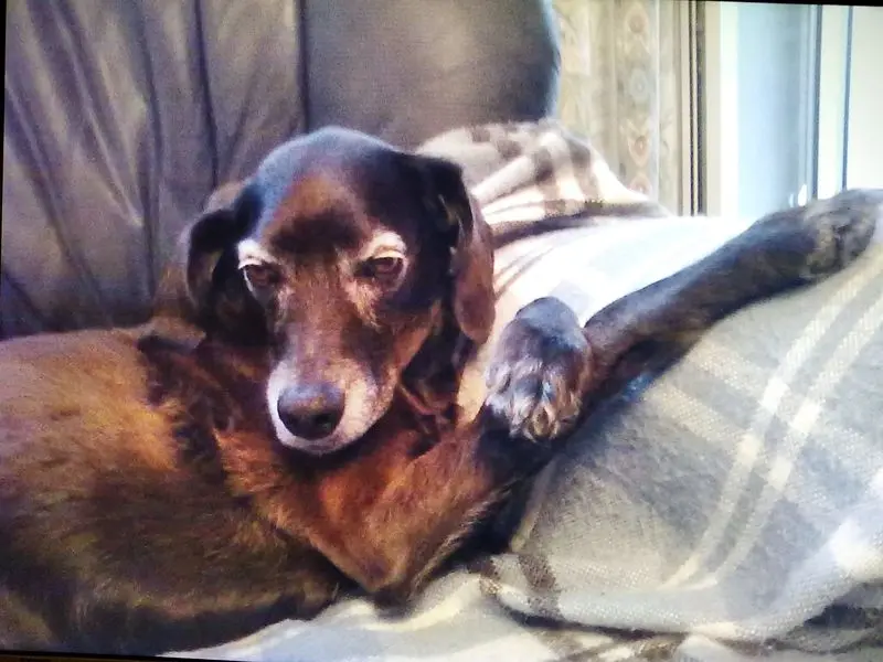 Andachtsbild von Erika