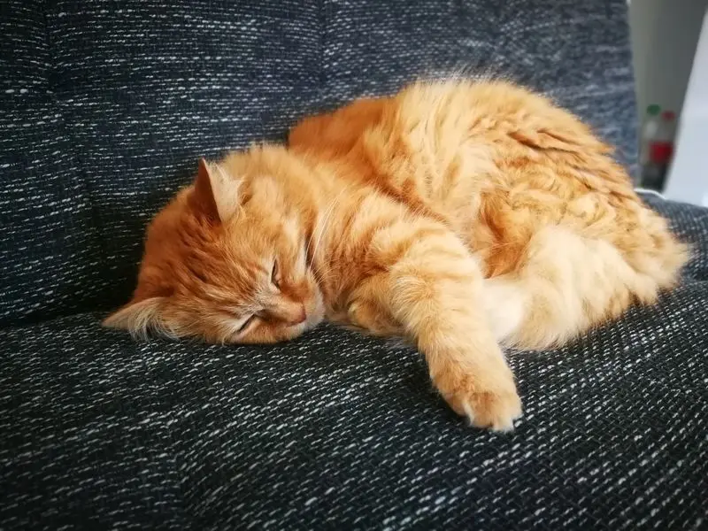 Andachtsbild von Hallo mein Schatz