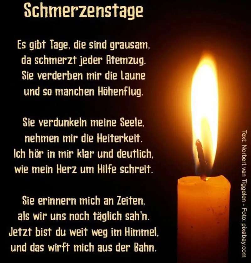 Condolence image of Jeannette mit Sisi und Lissy im ❤️