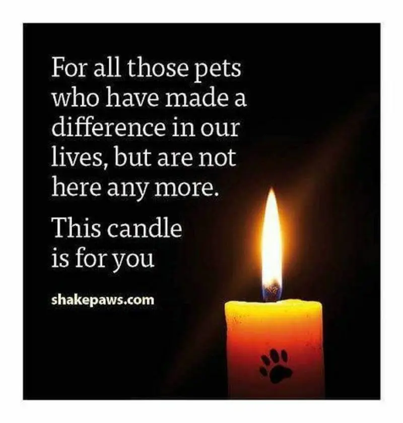 Andachtsbild von ❤