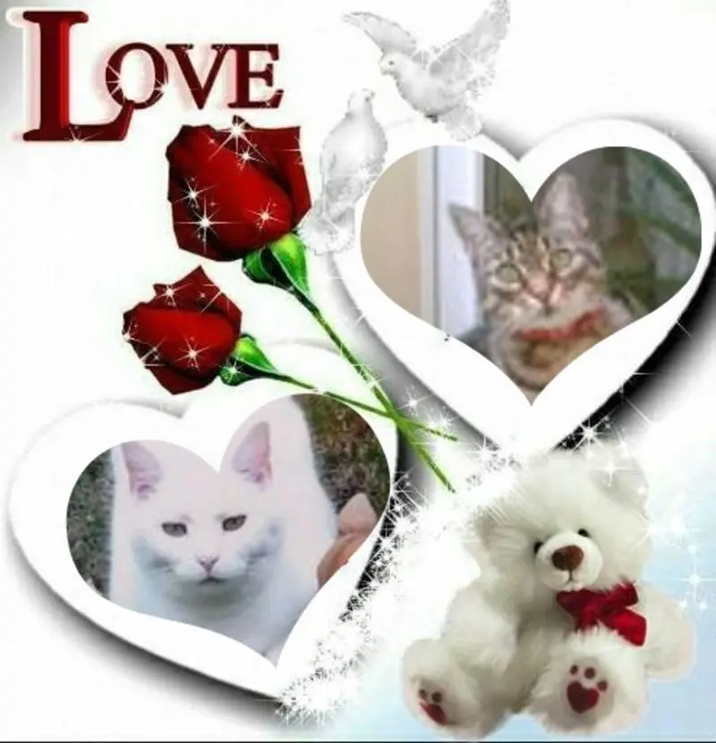 Andachtsbild von ❤️❤️❤️