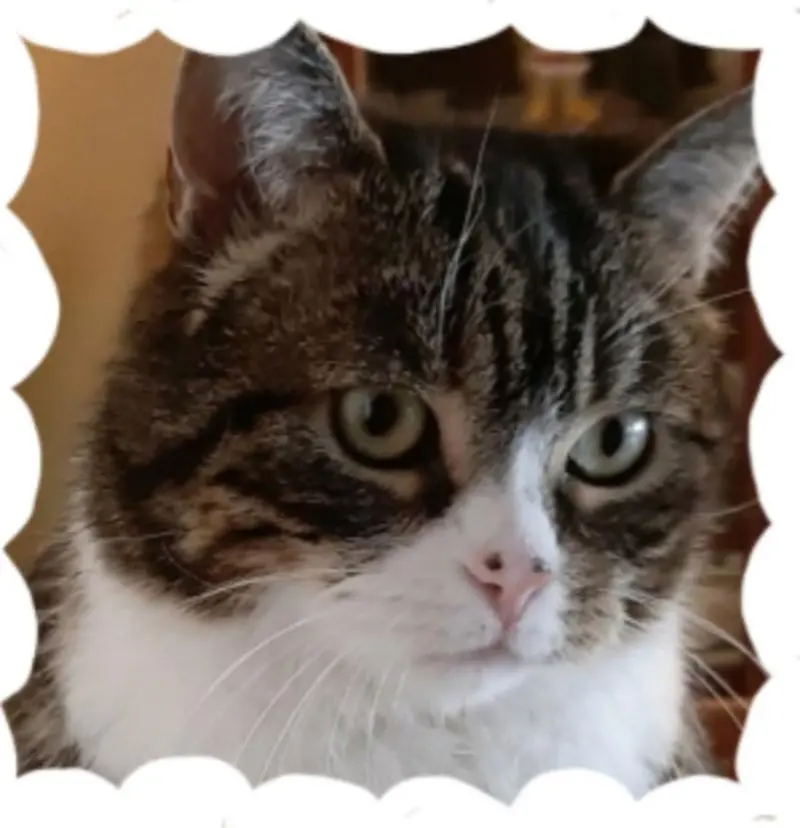 Andachtsbild von Andrea mit Mausi im Herzen